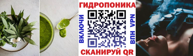 Купить закладки  Камышлов  Печенье с ТГК марихуана 