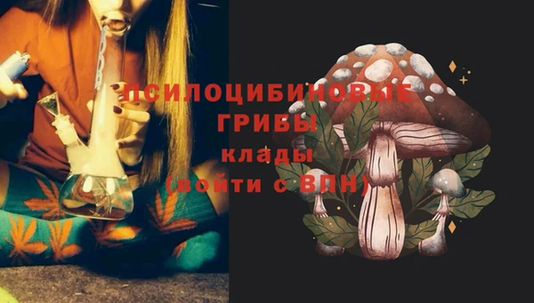 прущий лед Гусь-Хрустальный