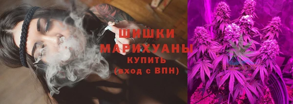 стаф Гусиноозёрск