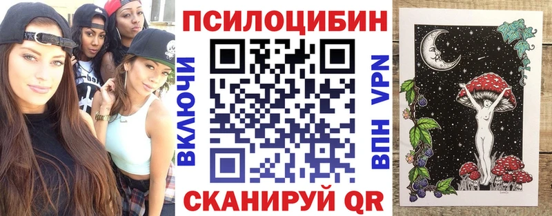 Купить закладки  Камышлов  Галлюциногенные грибы MAGIC MUSHROOMS 